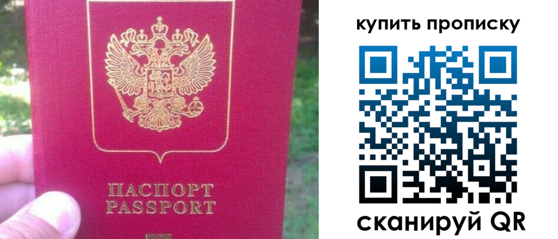 временная регистрация для школы в Сосенском